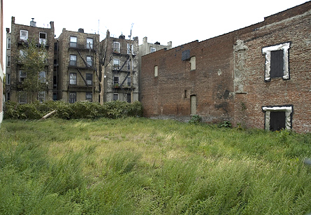 Photo of Vacant Lot