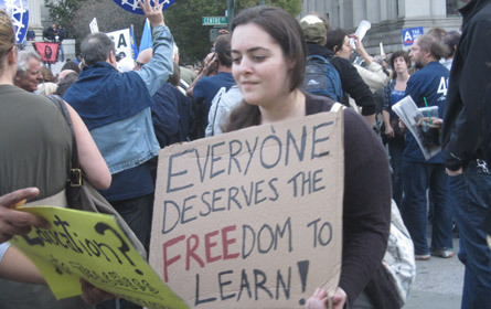 occupy wall street